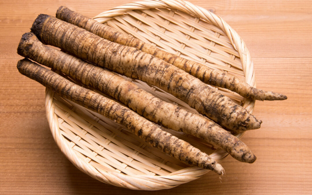 Burdock Root & Fasting